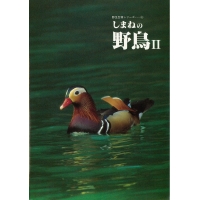 2658