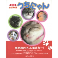 3268